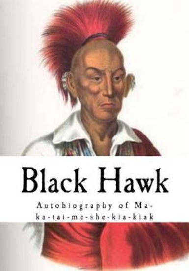 Picture of Black Hawk