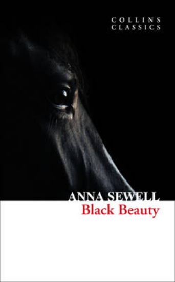 Picture of Black Beauty