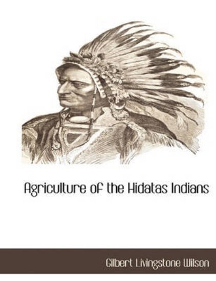 Picture of Agriculture of the Hidatas Indians