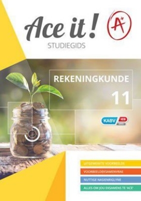 Picture of Ace It! Accounting Grade 11 (Afrik)