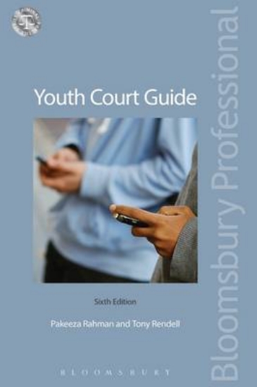 Picture of Youth Court Guide