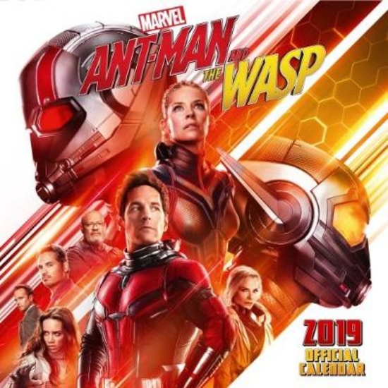 Picture of Antman and The Wasp Official 2019 Calendar - Squar