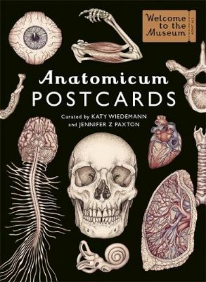 Picture of Anatomicum Postcard Box