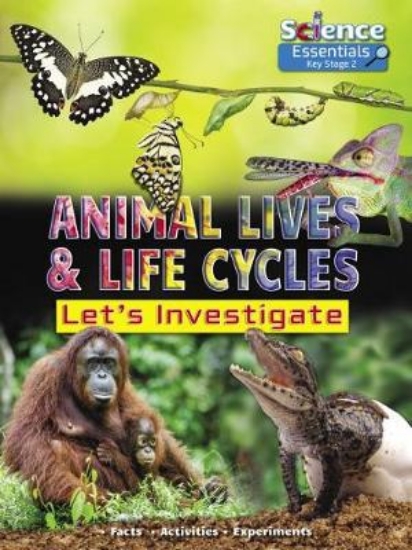 Picture of Animal Lives and Life Cycles: Let's Investigate