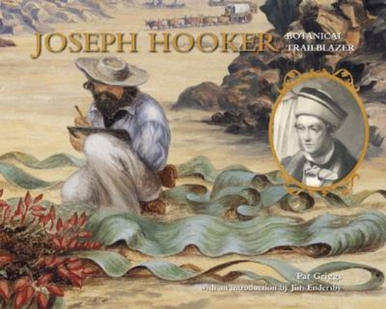 Picture of Joseph Hooker