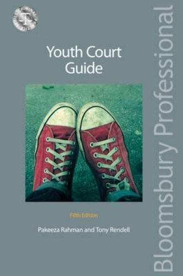 Picture of Youth Court Guide