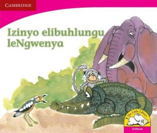 Picture of Izinyo elibuhlungu leNgwenya