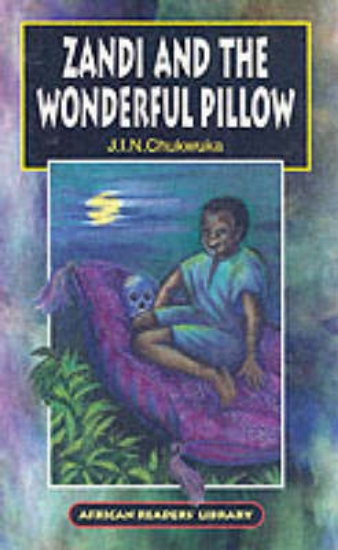Picture of Zandi and the Wonderful Pillow