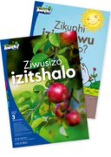 Picture of Ziwusizo izitshalo   |   Zikuphi izimbewu zikaZizo
