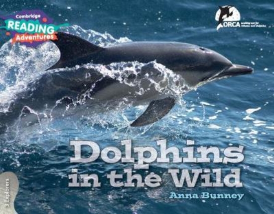 Picture of 3 Explorers Dolphins in the Wild 