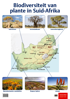 Picture of Biodiversiteit van plante in Suid-Afrika