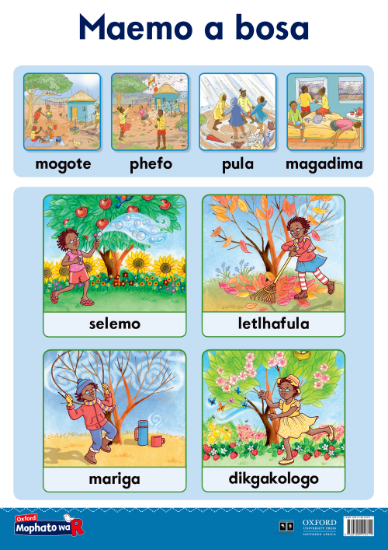 Picture of Oxford Kereiti ya R Phousetara 5: Maemo a bosa