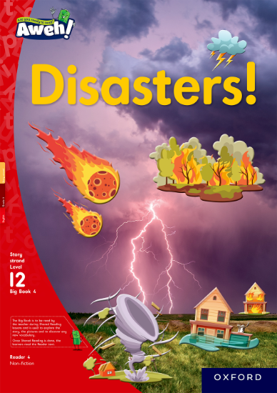 Picture of Disasters!