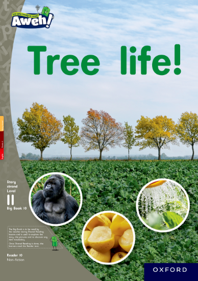 Picture of Tree life!