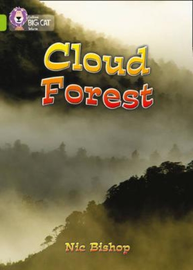 Picture of The Cloud Forest