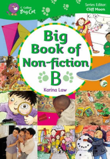 Picture of Big Book of Non-fiction B: Band 03-05/Yellow-Green