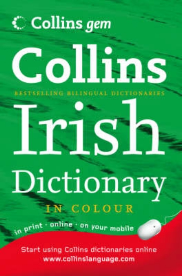 Picture of Irish Dictionary