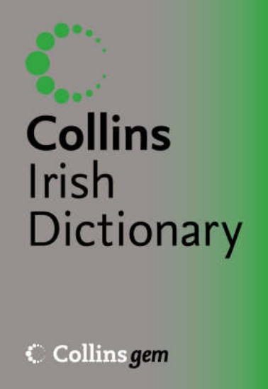 Picture of Irish Dictionary