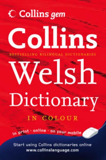 Picture of Welsh Dictionary
