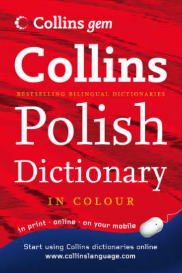 Picture of Polish Dictionary