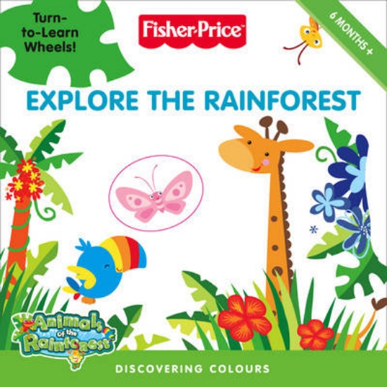 Picture of Explore the Rainforest