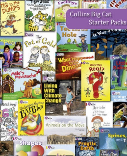 Picture of Topaz 2010 Starter Set