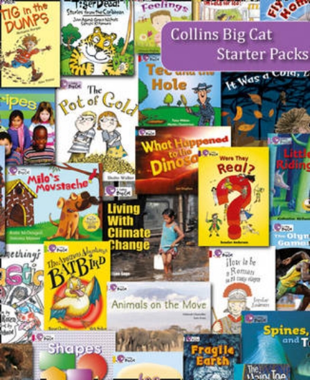 Picture of Yellow 2011 Starter Set