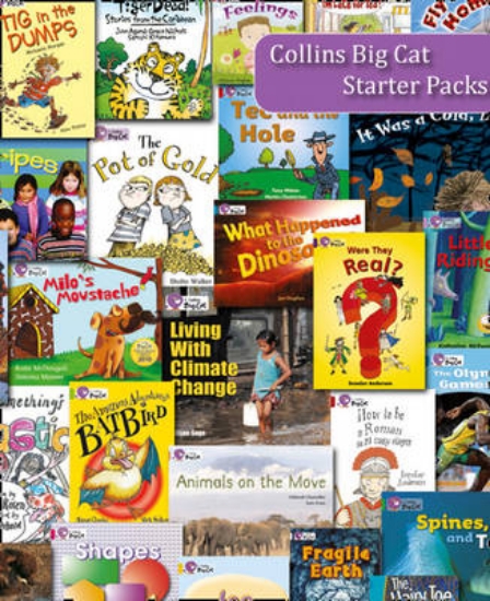 Picture of Topaz 2011 Starter Set