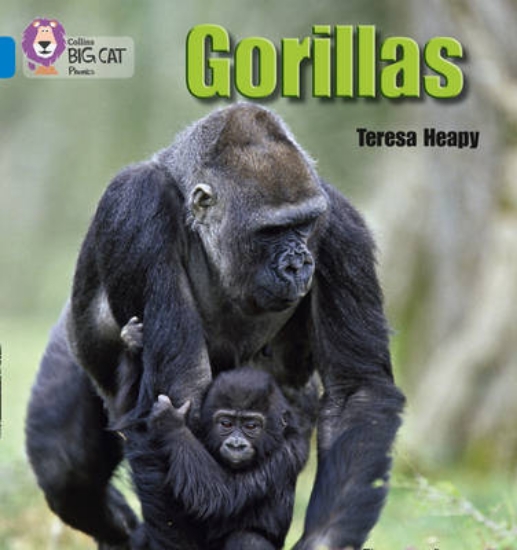 Picture of Gorillas