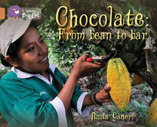 Picture of Chocolate: from Bean to Bar