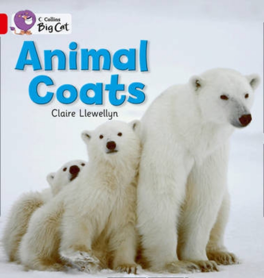 Picture of Animal Coats Workbook