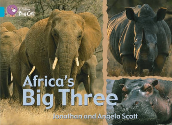 Picture of Africa's Big Three