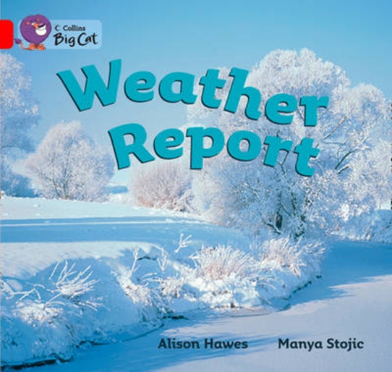 Picture of Weather Report Workbook
