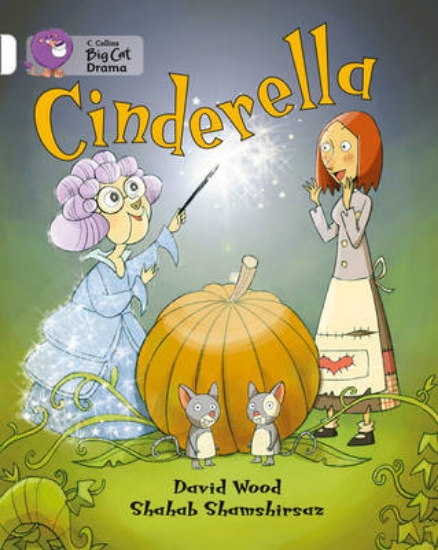 Picture of Cinderella Workbook