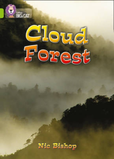 Picture of The Cloud Forest