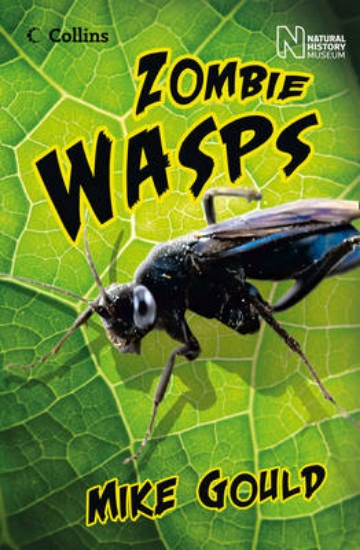 Picture of Zombie Wasps
