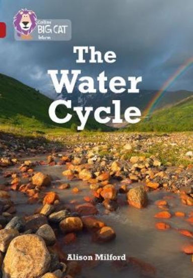 Picture of The Water Cycle