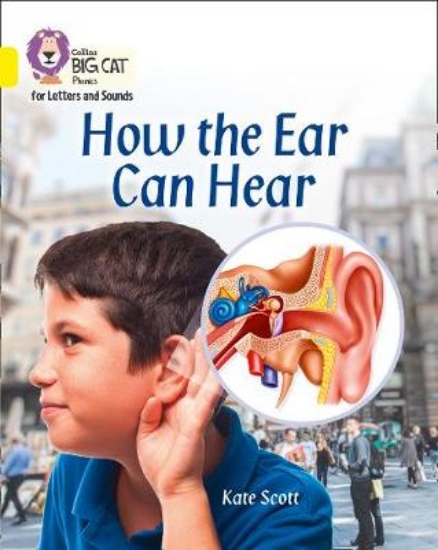 Picture of How the Ear Can Hear