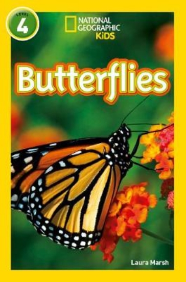 Picture of Butterflies