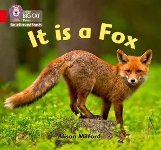 Picture of It is a Fox