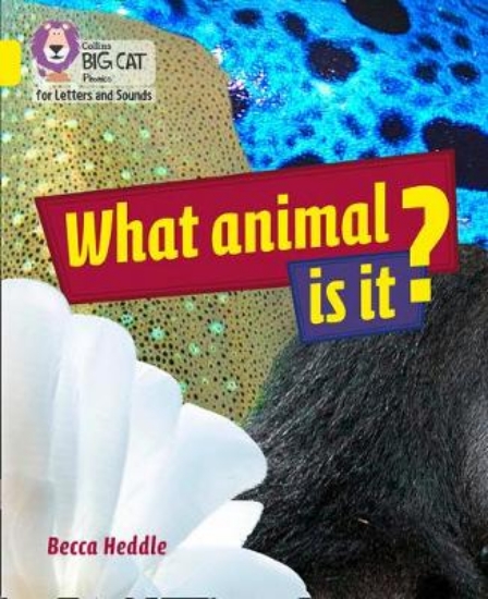 Picture of What Animal is It?