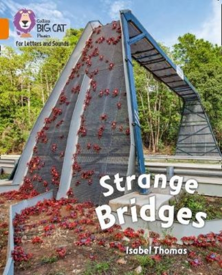 Picture of Strange Bridges