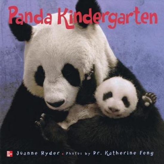 Picture of Reading Wonders Literature Big Book: Panda Kinderg