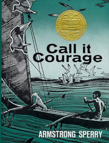Picture of Call it Courage