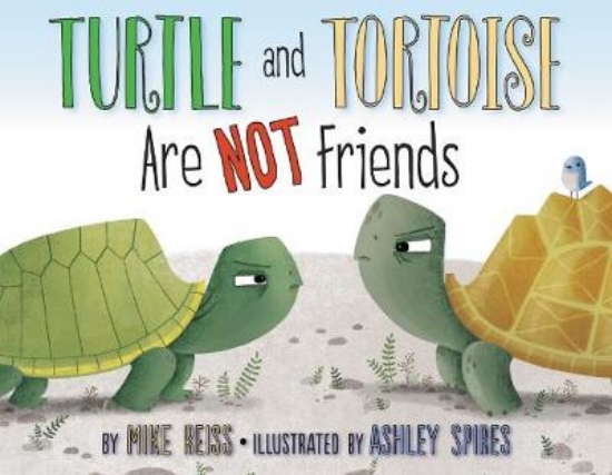 Picture of Turtle and Tortoise Are Not Friends