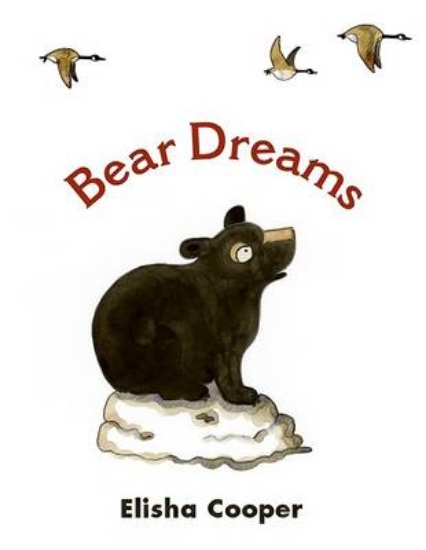 Picture of Bear Dreams