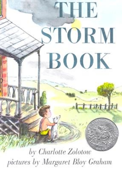 Picture of The Storm Book