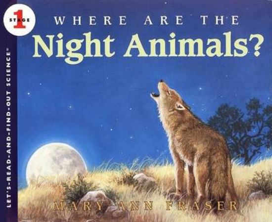 Picture of Where are the Night Animals?