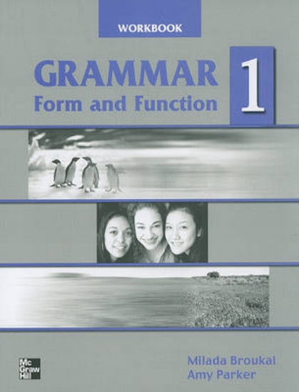 Picture of Grammar Form and Function: Workbook Bk. 1