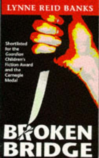 Picture of Broken Bridge